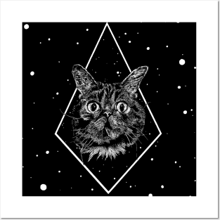 Bub Posters and Art